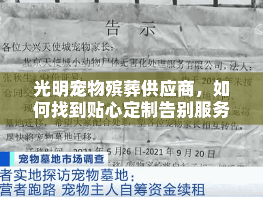 光明宠物殡葬供应商，如何找到贴心定制告别服务缓解心痛？