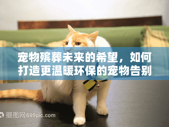 宠物殡葬未来的希望，如何打造更温暖环保的宠物告别仪式？