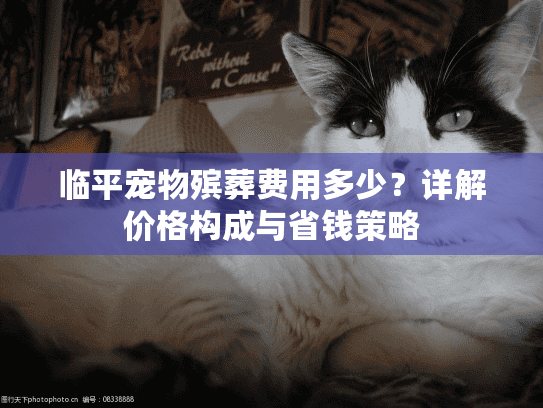 临平宠物殡葬费用多少？详解价格构成与省钱策略