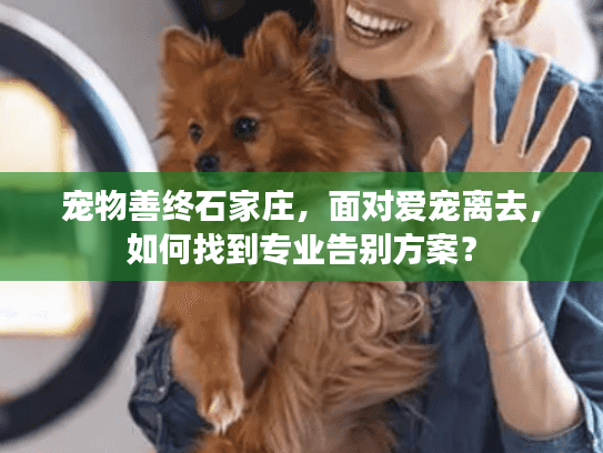 宠物善终石家庄，面对爱宠离去，如何找到专业告别方案？