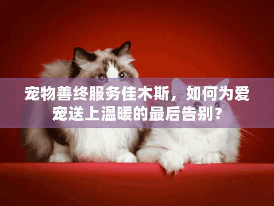宠物善终服务佳木斯，如何为爱宠送上温暖的最后告别？