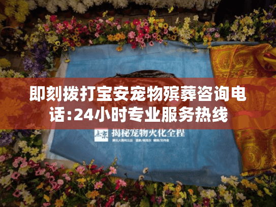 即刻拨打宝安宠物殡葬咨询电话:24小时专业服务热线