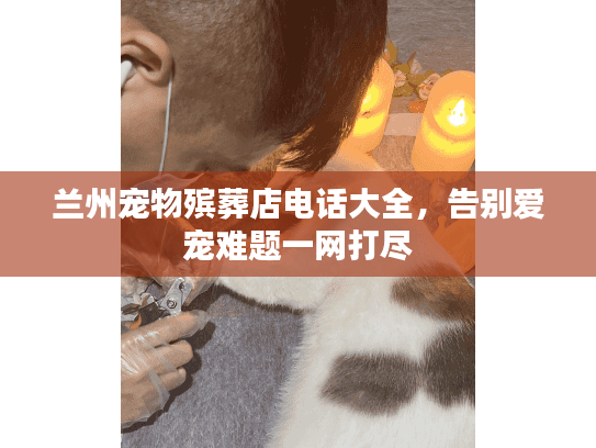 兰州宠物殡葬店电话大全，告别爱宠难题一网打尽