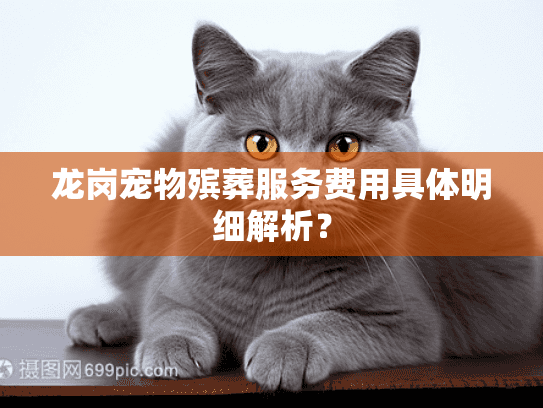 龙岗宠物殡葬服务费用具体明细解析？