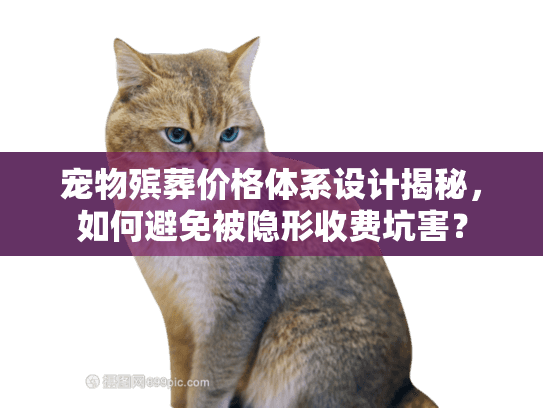 宠物殡葬价格体系设计揭秘，如何避免被隐形收费坑害？