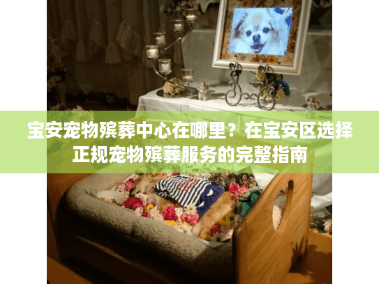 宝安宠物殡葬中心在哪里？在宝安区选择正规宠物殡葬服务的完整指南