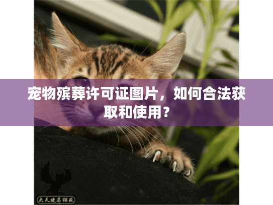 宠物殡葬许可证图片，如何合法获取和使用？