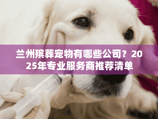 兰州殡葬宠物有哪些公司？2025年专业服务商推荐清单