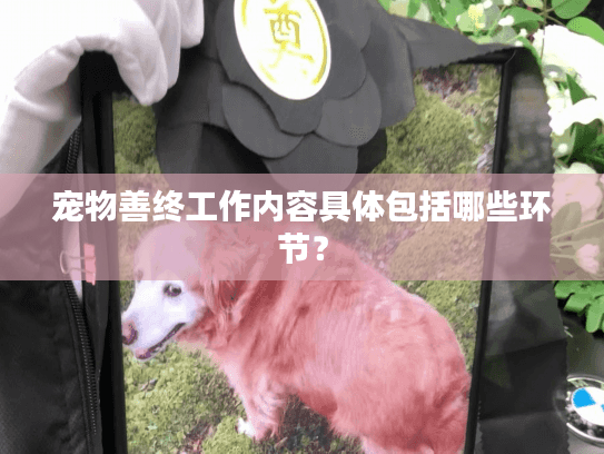宠物善终工作内容具体包括哪些环节？