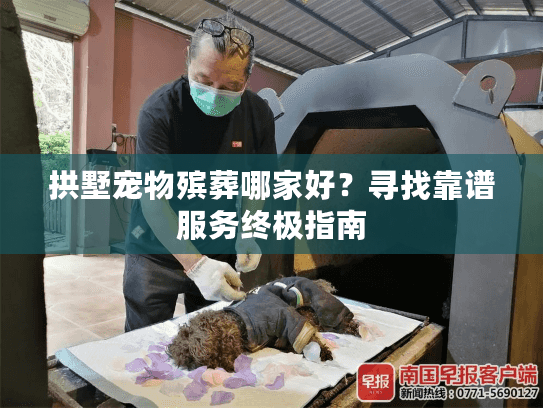 拱墅宠物殡葬哪家好？寻找靠谱服务终极指南