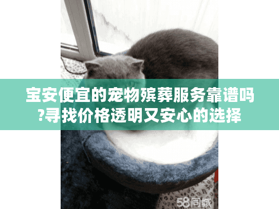 宝安便宜的宠物殡葬服务靠谱吗?寻找价格透明又安心的选择