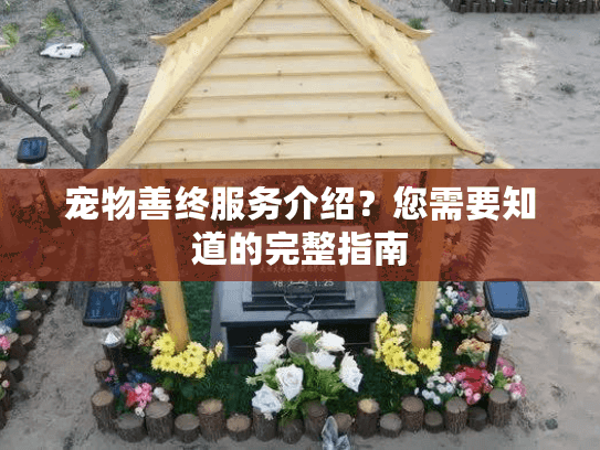 宠物善终服务介绍？您需要知道的完整指南