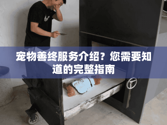 宠物善终服务介绍？您需要知道的完整指南