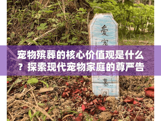 宠物殡葬的核心价值观是什么？探索现代宠物家庭的尊严告别选择