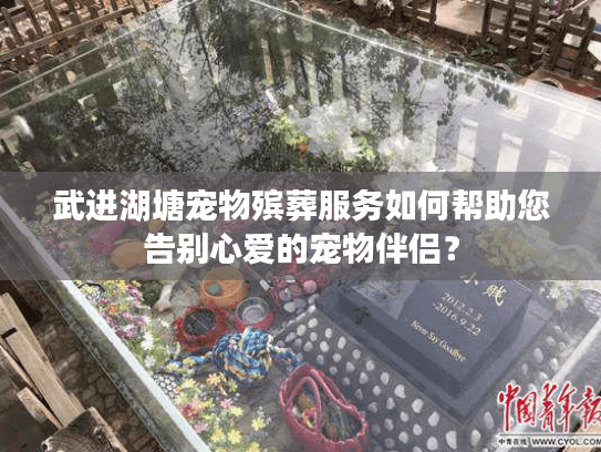 武进湖塘宠物殡葬服务如何帮助您告别心爱的宠物伴侣？
