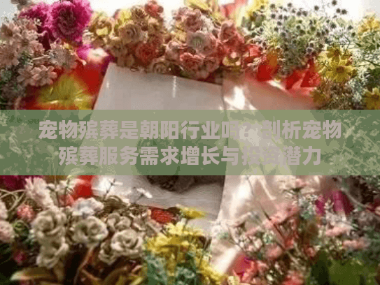 宠物殡葬是朝阳行业吗？剖析宠物殡葬服务需求增长与投资潜力