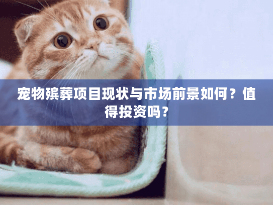 宠物殡葬项目现状与市场前景如何？值得投资吗？