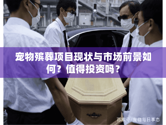 宠物殡葬项目现状与市场前景如何？值得投资吗？