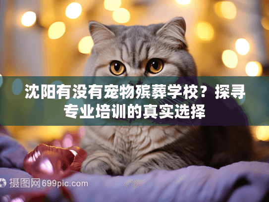 沈阳有没有宠物殡葬学校？探寻专业培训的真实选择