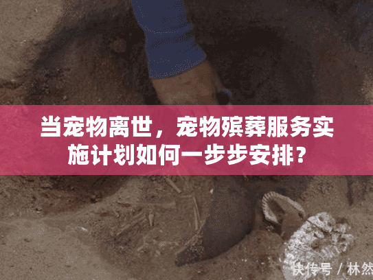 当宠物离世，宠物殡葬服务实施计划如何一步步安排？