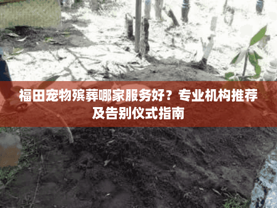 福田宠物殡葬哪家服务好？专业机构推荐及告别仪式指南