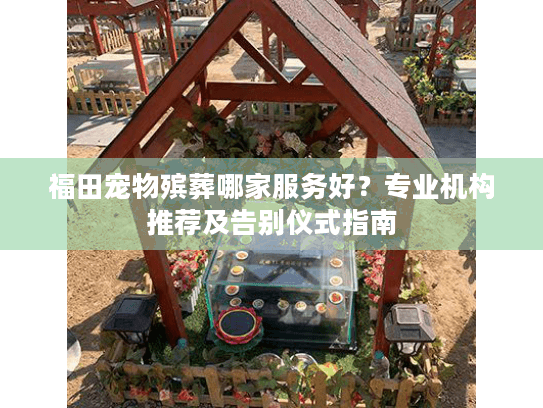 福田宠物殡葬哪家服务好？专业机构推荐及告别仪式指南