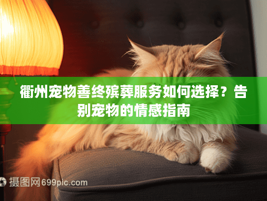 衢州宠物善终殡葬服务如何选择？告别宠物的情感指南