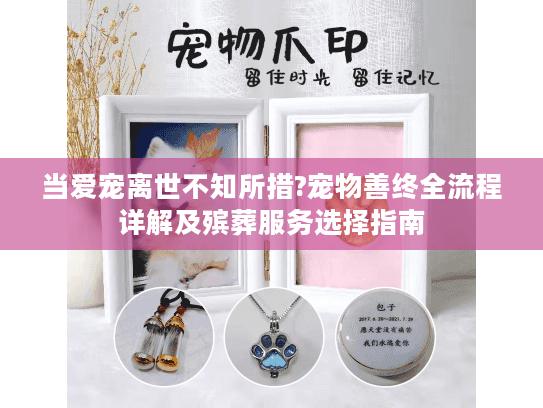 当爱宠离世不知所措?宠物善终全流程详解及殡葬服务选择指南