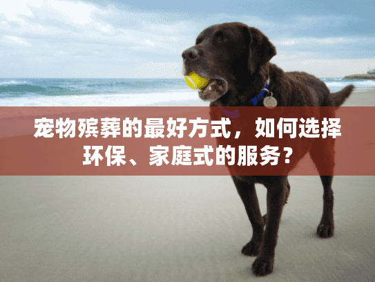 宠物殡葬的最好方式，如何选择环保、家庭式的服务？