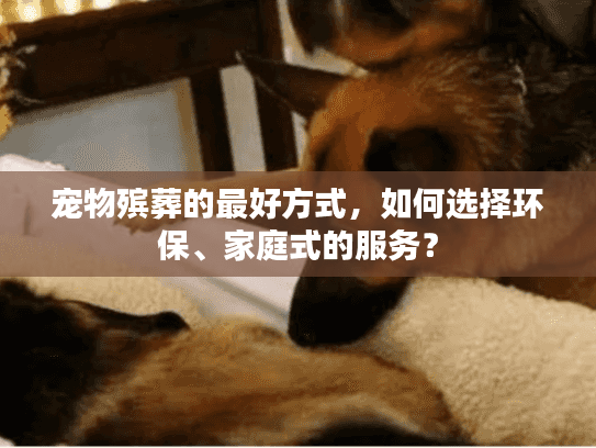 宠物殡葬的最好方式，如何选择环保、家庭式的服务？
