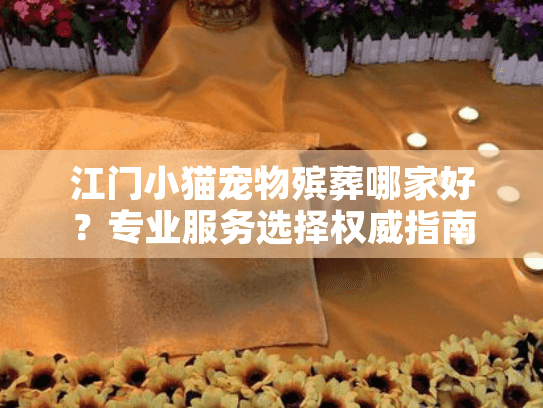 江门小猫宠物殡葬哪家好？专业服务选择权威指南