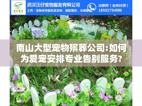 南山大型宠物殡葬公司:如何为爱宠安排专业告别服务?