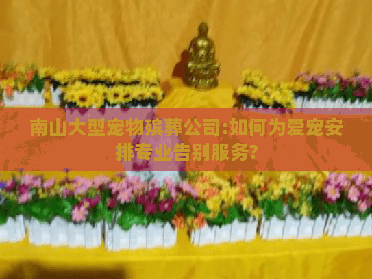 南山大型宠物殡葬公司:如何为爱宠安排专业告别服务?