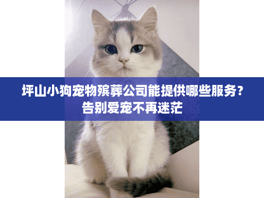 坪山小狗宠物殡葬公司能提供哪些服务？告别爱宠不再迷茫