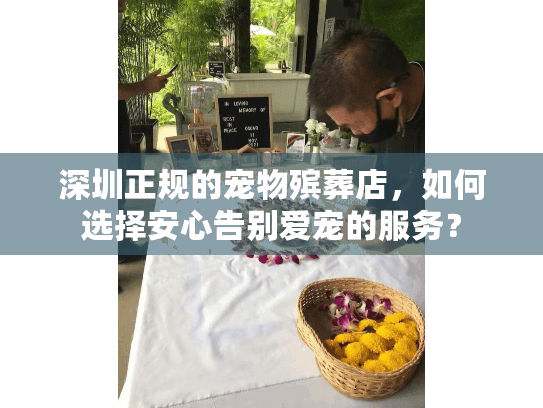 深圳正规的宠物殡葬店，如何选择安心告别爱宠的服务？