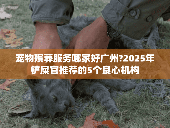 宠物殡葬服务哪家好广州?2025年铲屎官推荐的5个良心机构