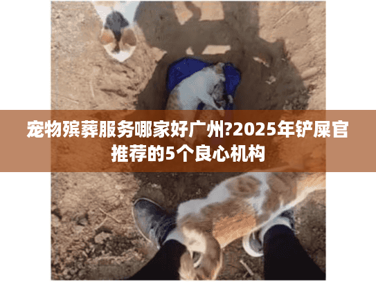 宠物殡葬服务哪家好广州?2025年铲屎官推荐的5个良心机构