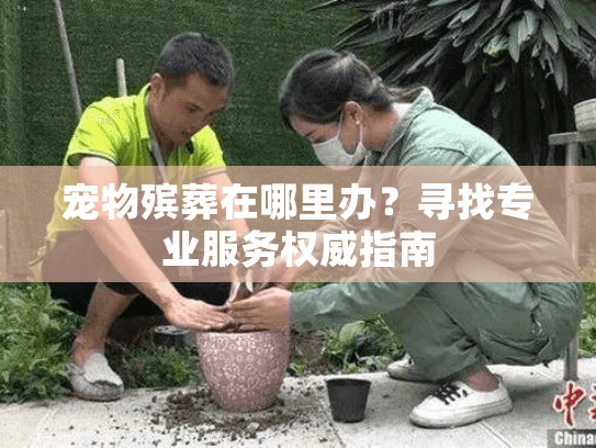 宠物殡葬在哪里办？寻找专业服务权威指南