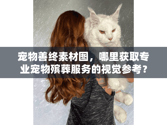 宠物善终素材图，哪里获取专业宠物殡葬服务的视觉参考？