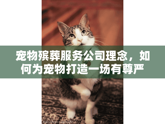 宠物殡葬服务公司理念，如何为宠物打造一场有尊严的告别仪式？