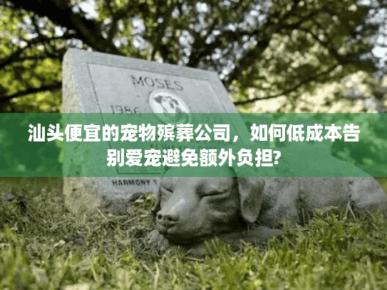 汕头便宜的宠物殡葬公司，如何低成本告别爱宠避免额外负担?