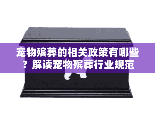 宠物殡葬的相关政策有哪些？解读宠物殡葬行业规范
