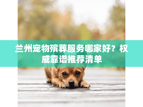 兰州宠物殡葬服务哪家好？权威靠谱推荐清单