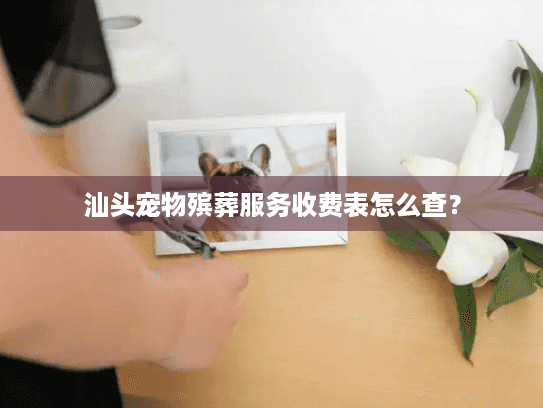 汕头宠物殡葬服务收费表怎么查？