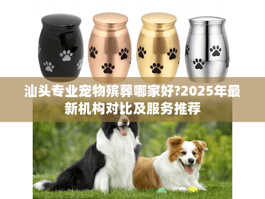 汕头专业宠物殡葬哪家好?2025年最新机构对比及服务推荐