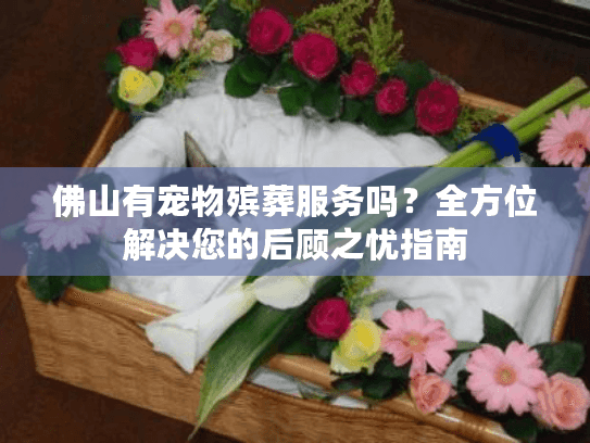 佛山有宠物殡葬服务吗？全方位解决您的后顾之忧指南