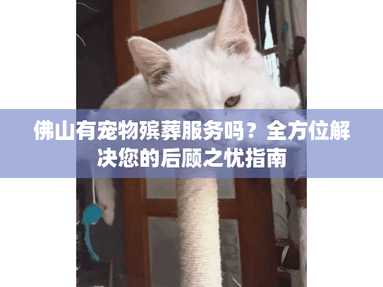 佛山有宠物殡葬服务吗？全方位解决您的后顾之忧指南