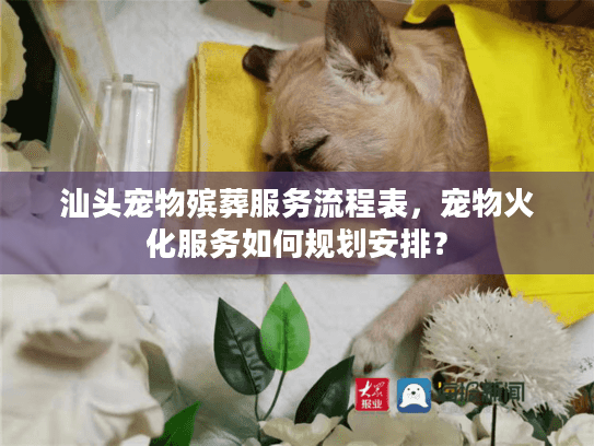 汕头宠物殡葬服务流程表，宠物火化服务如何规划安排？