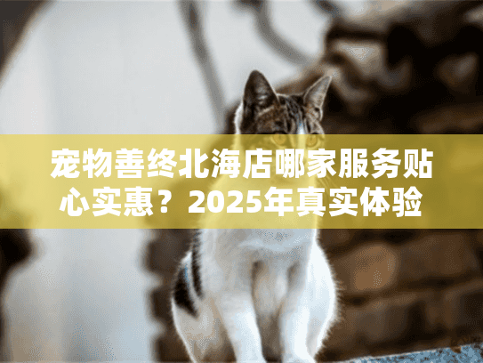 宠物善终北海店哪家服务贴心实惠？2025年真实体验分享