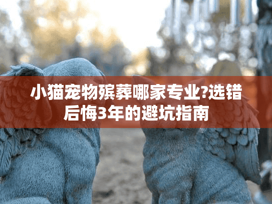 小猫宠物殡葬哪家专业?选错后悔3年的避坑指南